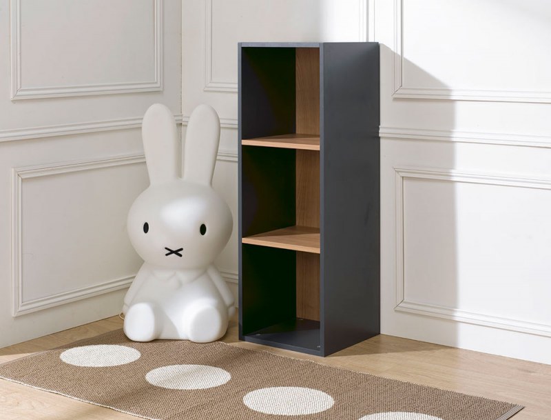 3-compartment anthracite storage cube