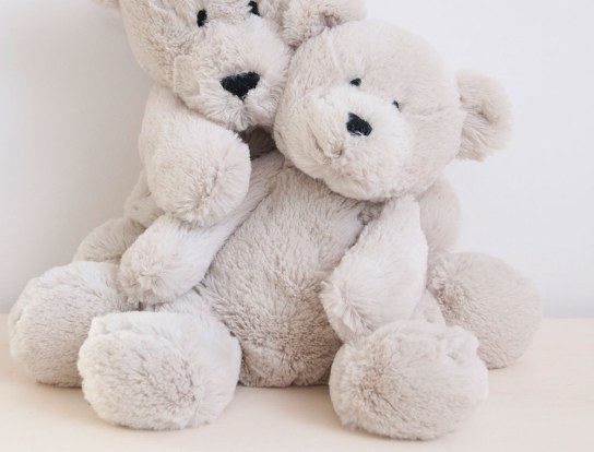 Osito de peluche pequeño