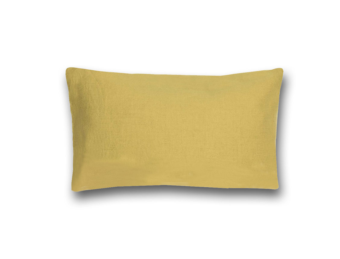 Coussin Zeff 30x50 Absynthe