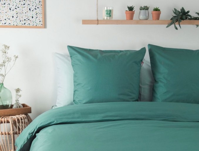 Funda de almohada 60x60 Eucalyptus algodón orgánico