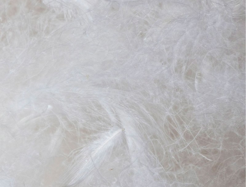 50x70 Down and Feather pillow