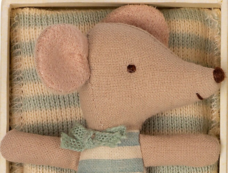 Baby Boy Mouse in his box