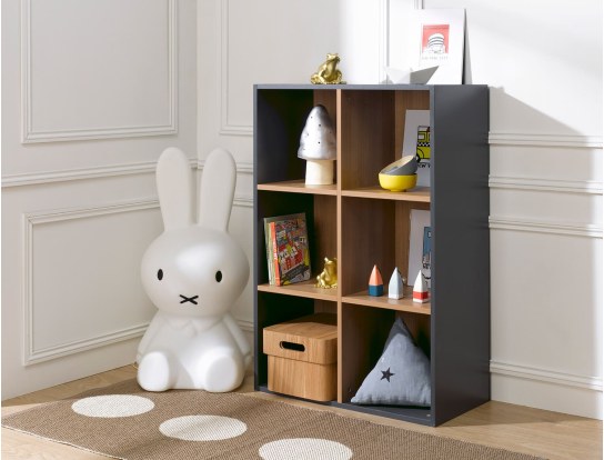 Anthracite 6-compartment storage cube