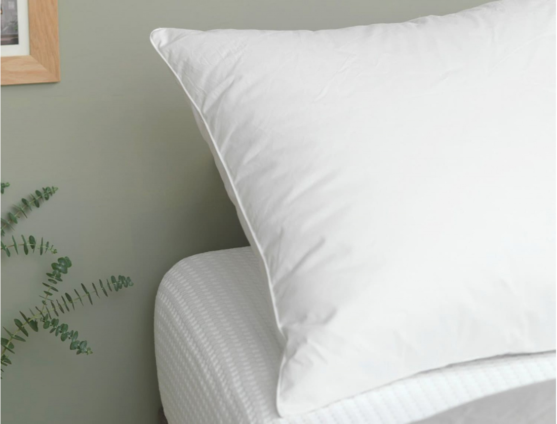 50x70 Down and Feather Pillow