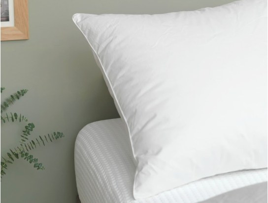 50x70 Down and Feather Pillow