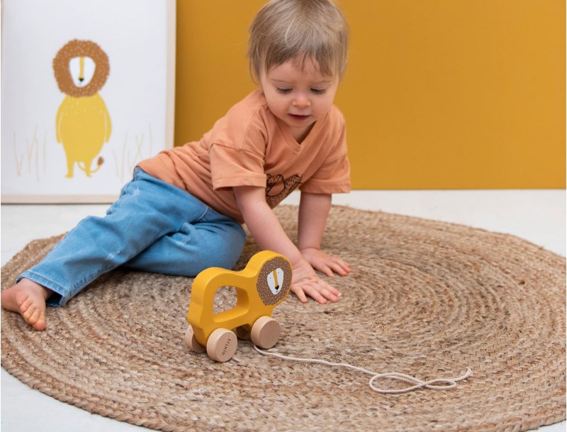Wooden pull-along toy Mr Lion. A lovely Lion