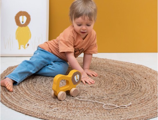 Wooden pull-along toy Mr Lion. A lovely Lion