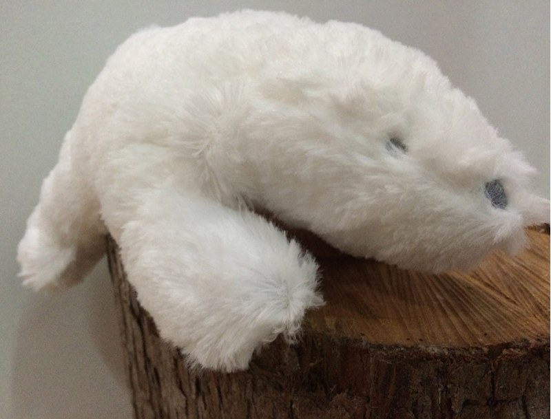 Ours polaire musical "Ice" blanc 29cm