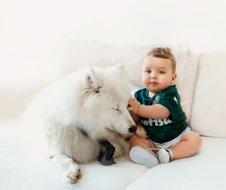 chambrekids-article-de-blog-liste-des-bebes-animaux-le-guide-ultime-pour-curieux