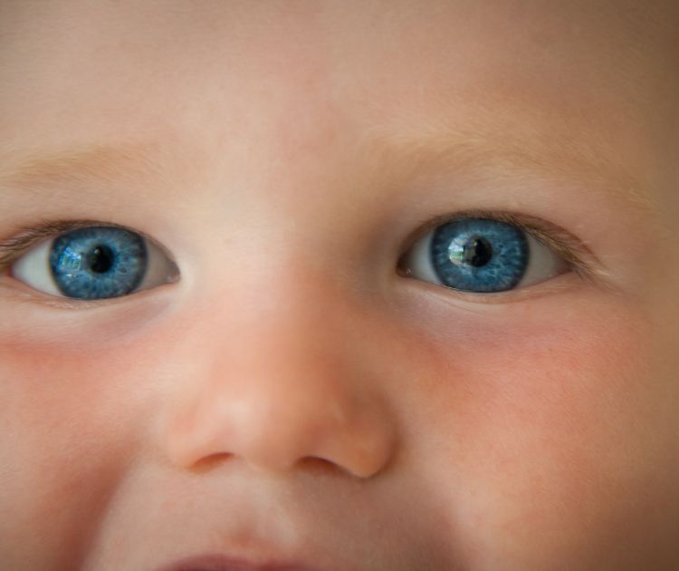 chambrekids-couleur-yeux-bebe-parent-yeux-bleu