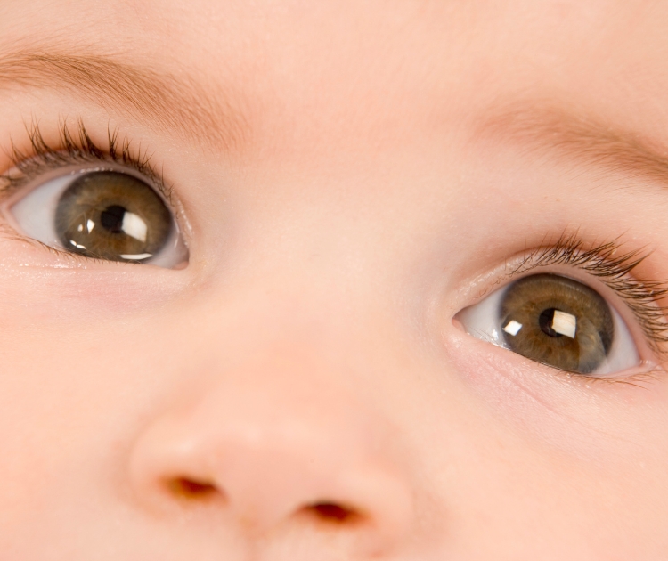 chambrekids-couleur-yeux-bebe-parent-yeux-vert-et-brun