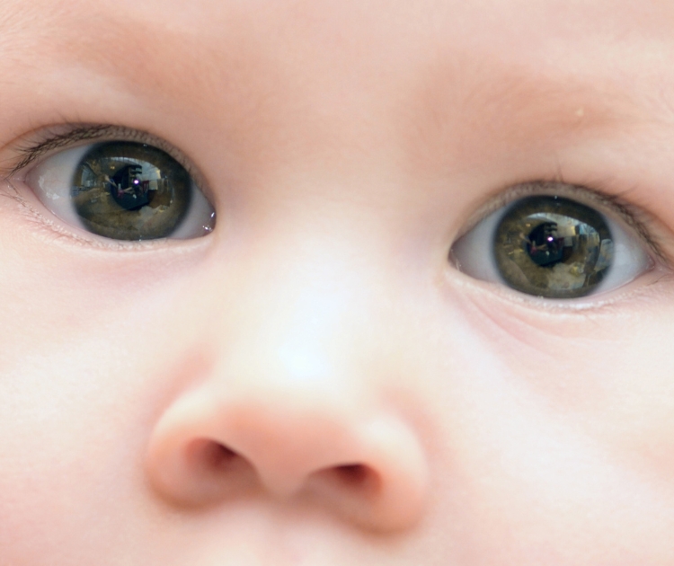 chambrekids-couleur-yeux-bebe-parent-yeux-vert-et-vert