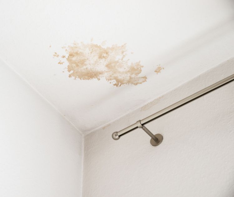 chambrekids-article-de-blog-comment-enlever-odeur-de-moisi-dans-chambre-causes