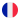 Français (French)