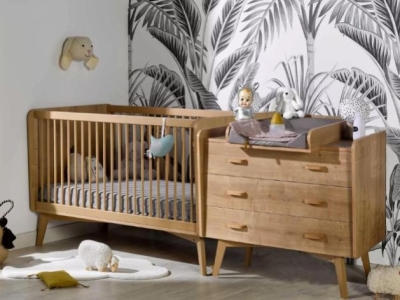 Idées déco pour une chambre bébé avec un lit bébé évolutif