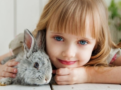Lista de bebés animales: ¡la guía definitiva para pequeños y grandes curiosos!